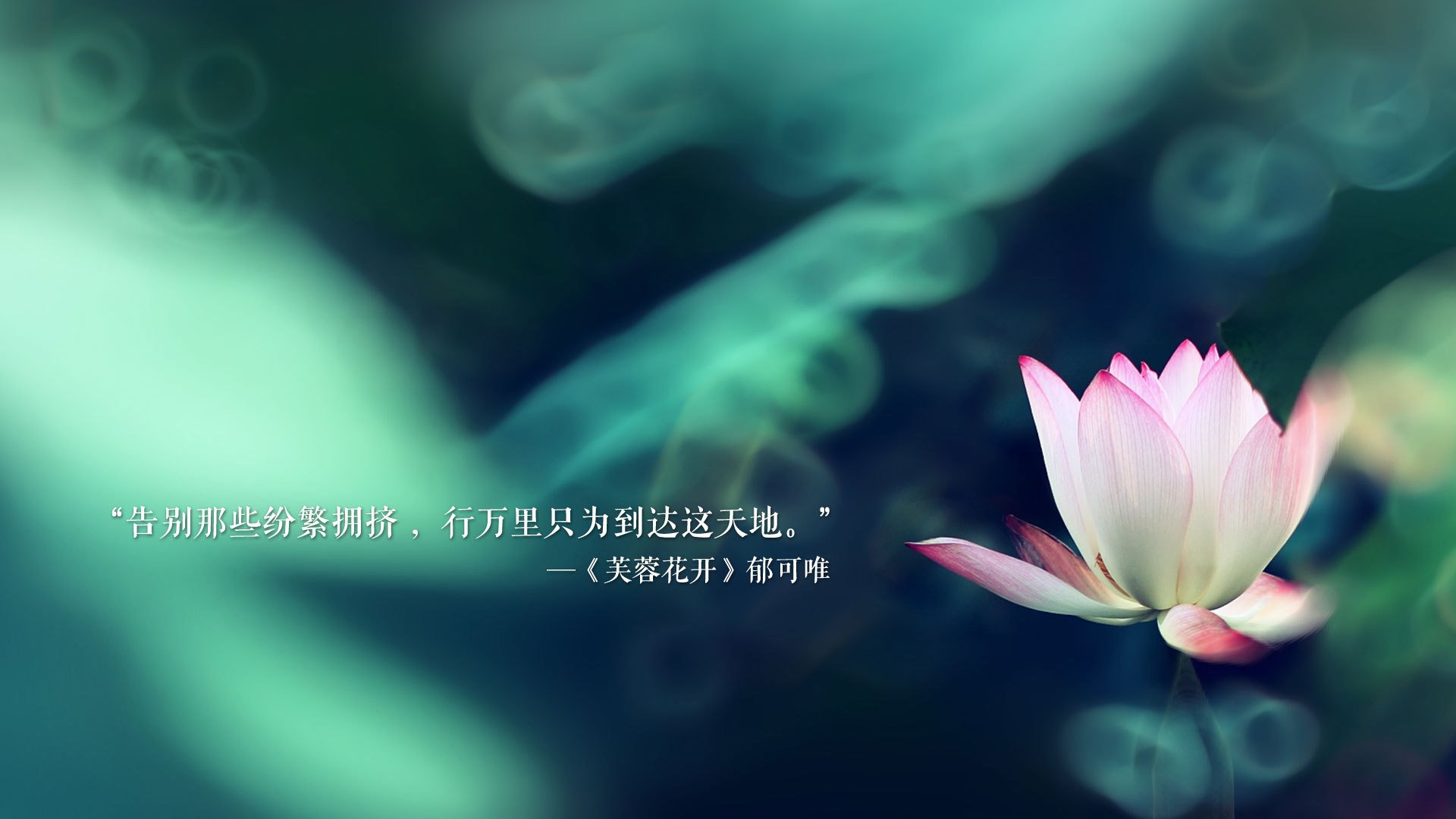 _猛龙队稳扎稳打，收获关键胜利_，猛龙队员