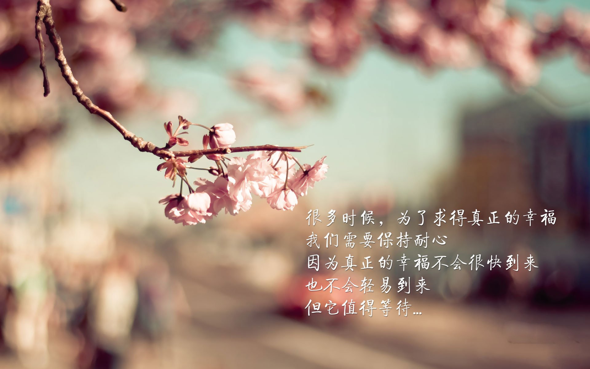 《《守望先锋》新英雄“炼狱”上线，战术布置再升级》，守望先锋训练