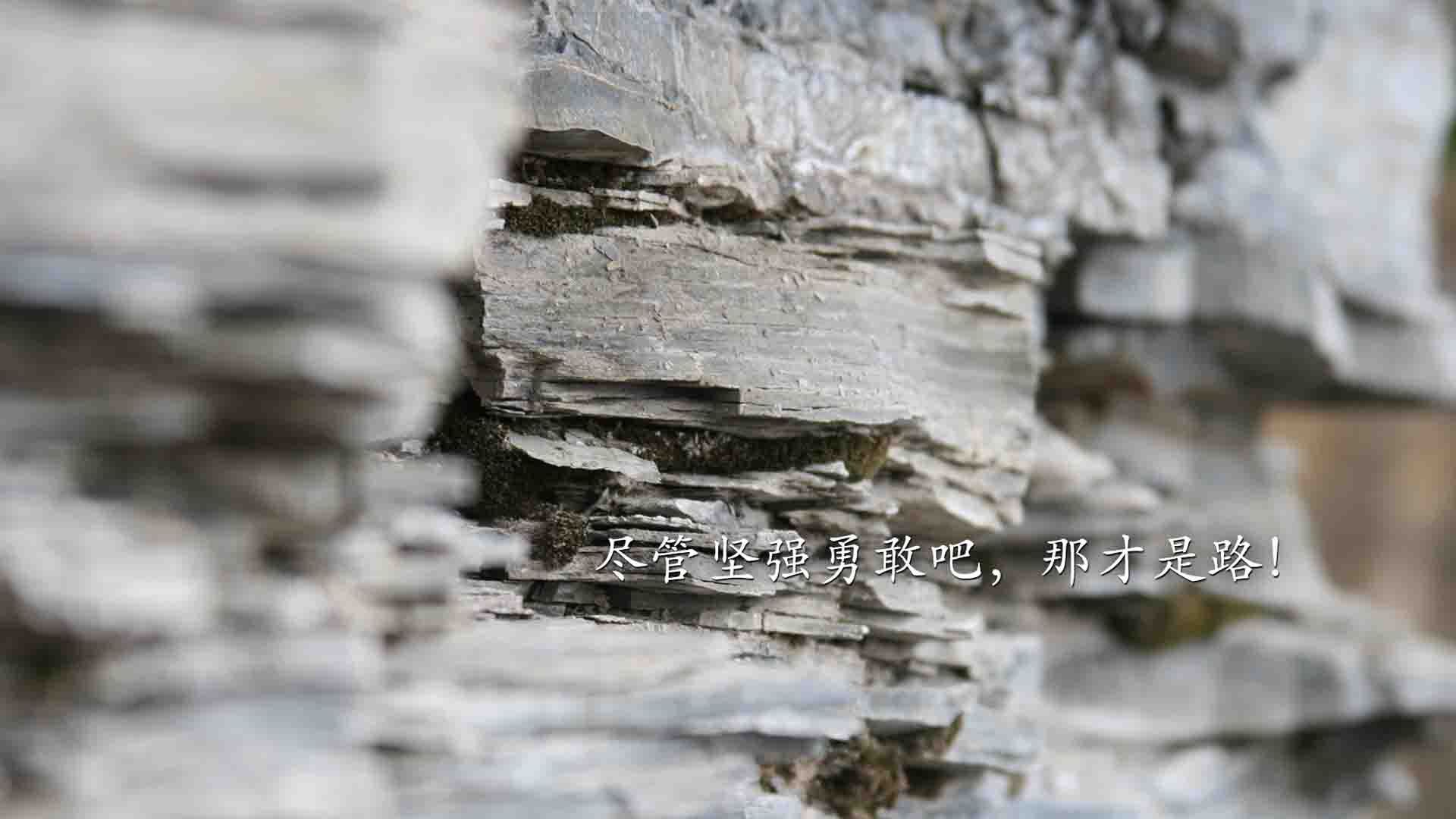 英超球队纷纷升级基础设施，增强比赛竞争力，英超 俱乐部培养