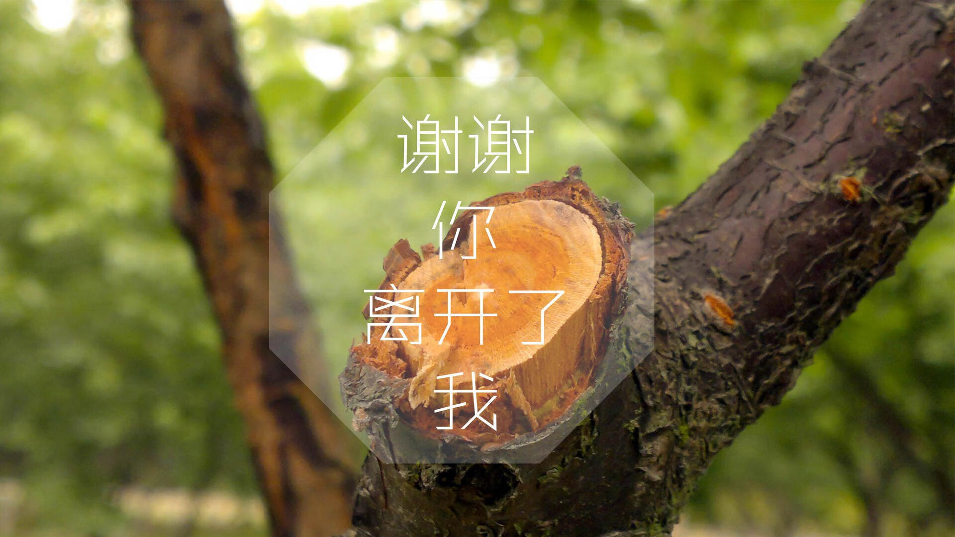 赛场争议：引发热议的裁判判罚，比赛场次示意图