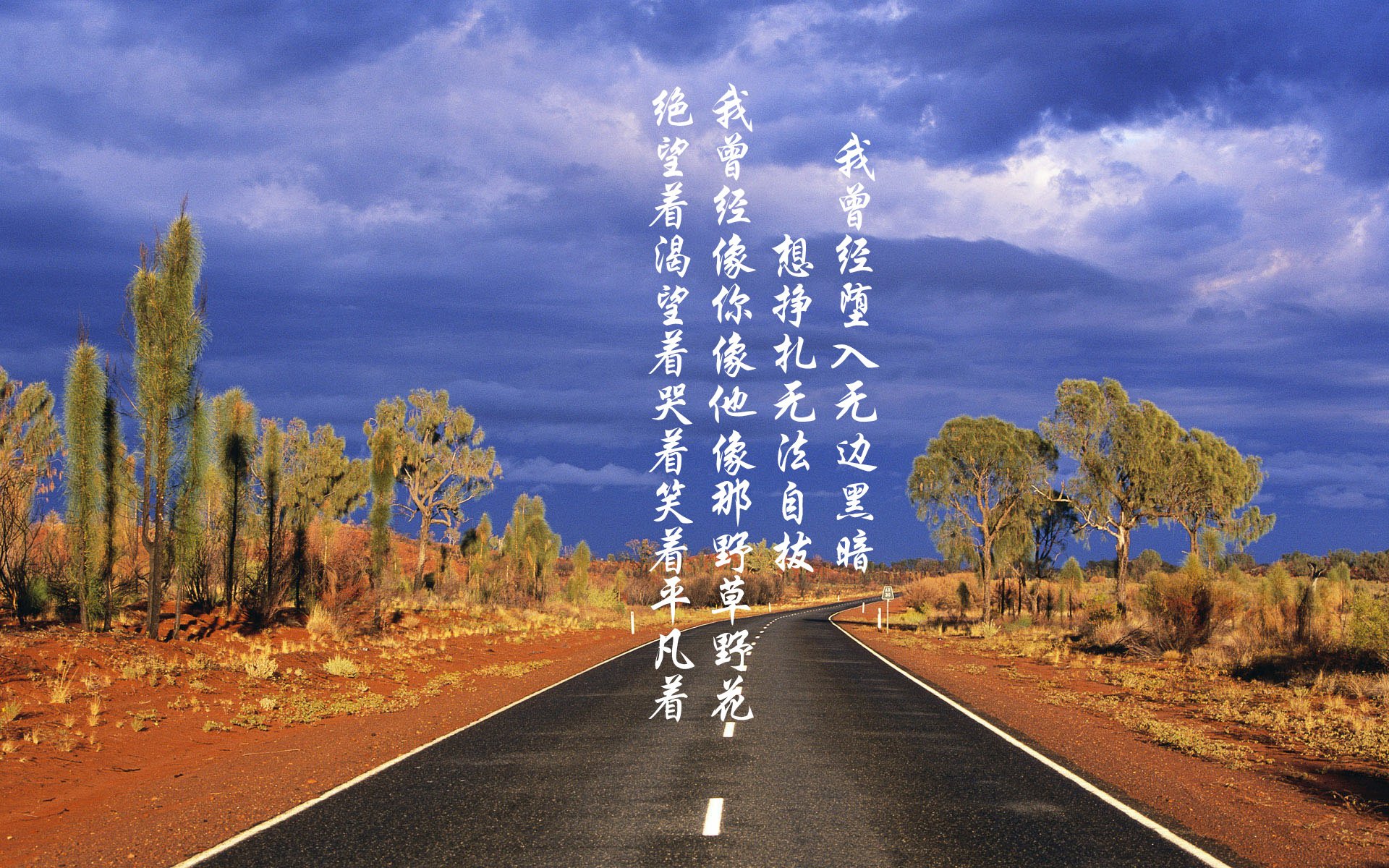 开云网页版-赛场上的“智慧机器人”：未来科技带来的变革，智能机器人赛道