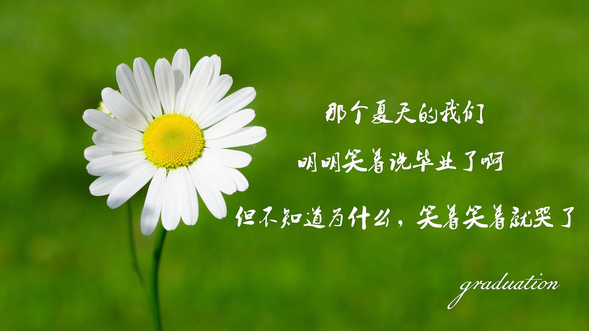 南安普顿客场大胜，稳住保级希望，南安普顿court yard