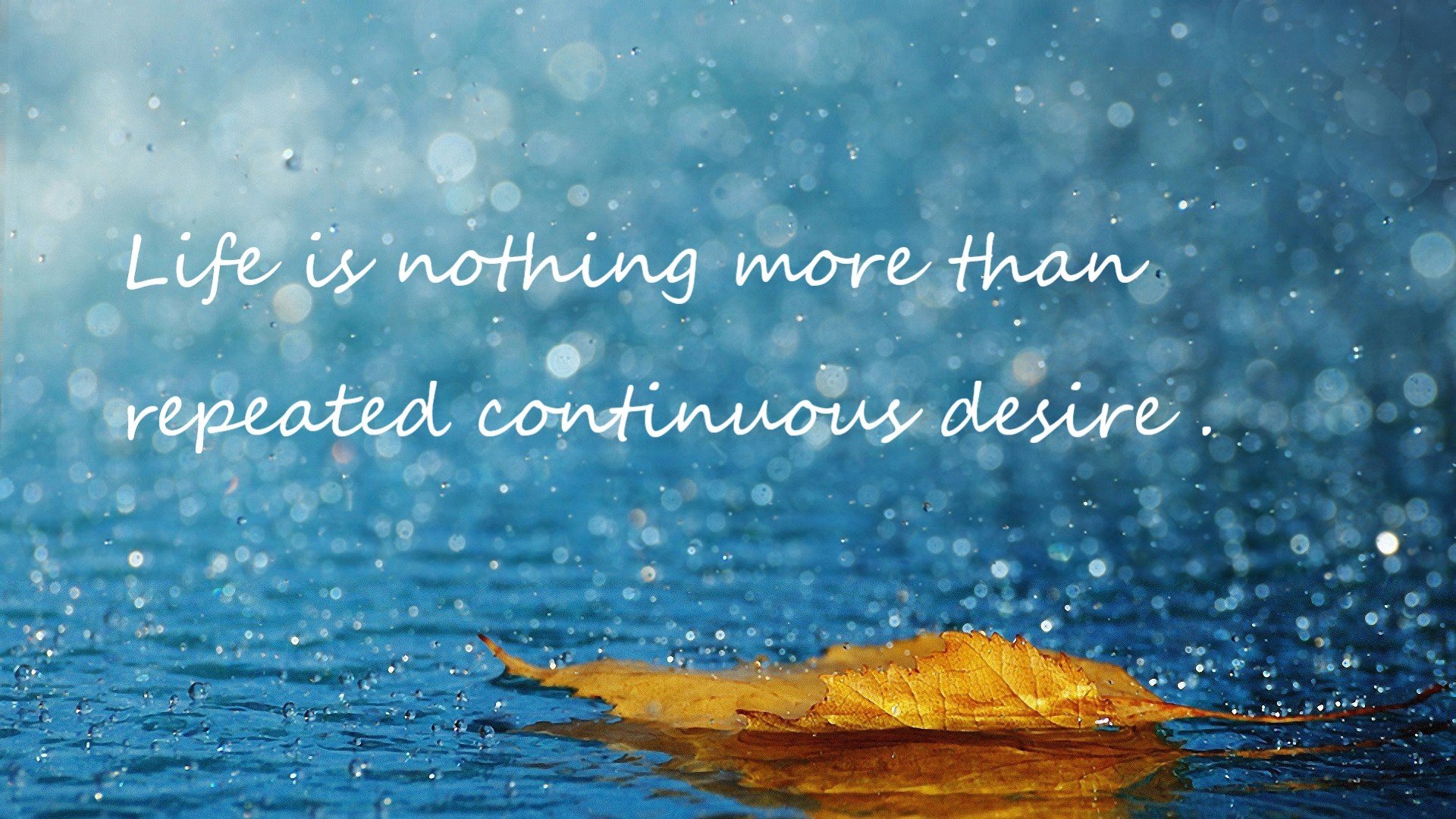 世界杯历史裁判争议事件,2020年世界杯裁判