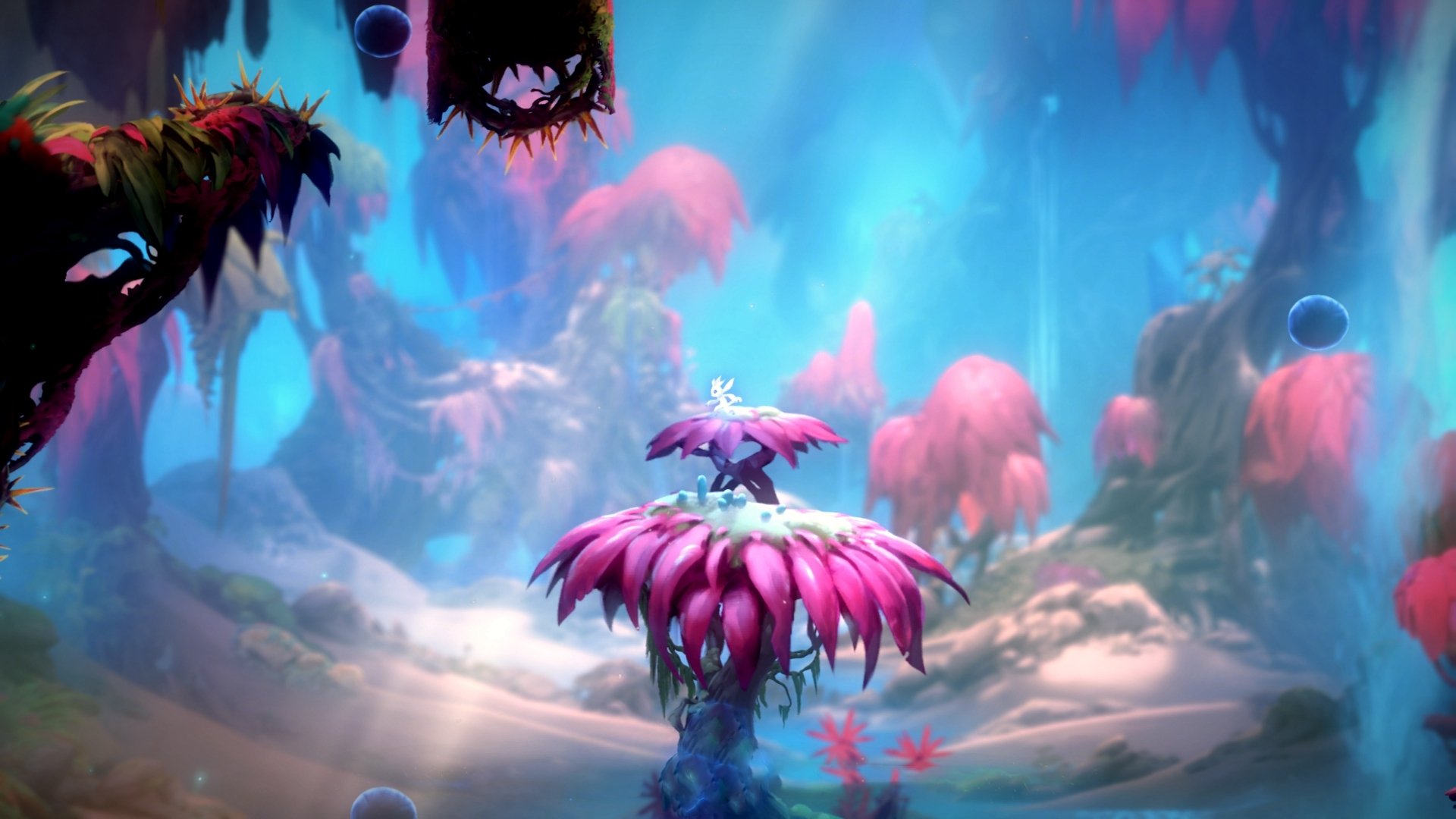 乌干达男篮在非洲预赛中不屈不挠，一步步迈向大舞台，乌干达篮球全国联赛