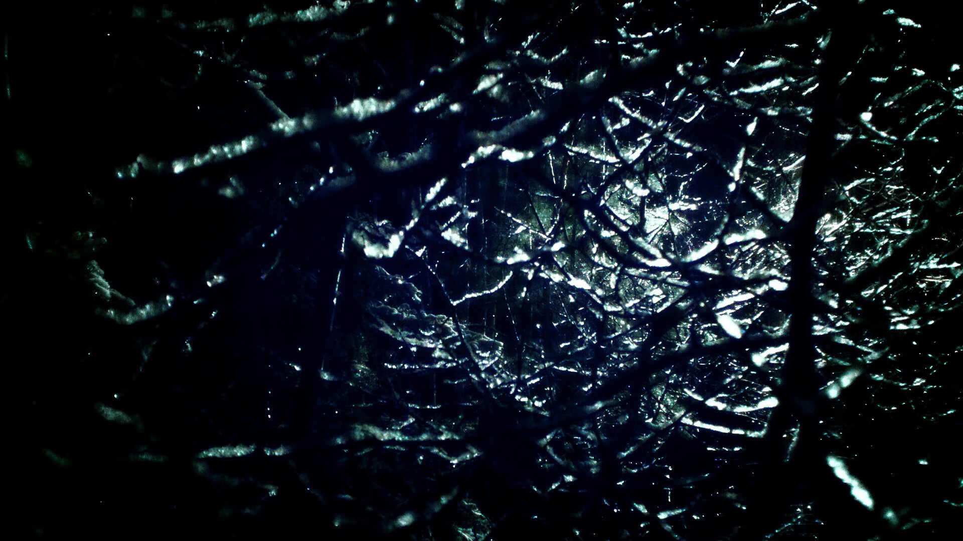 南非羚羊队:阵容强大,任何一名球员都能成为比赛的关键人物,东非羚羊