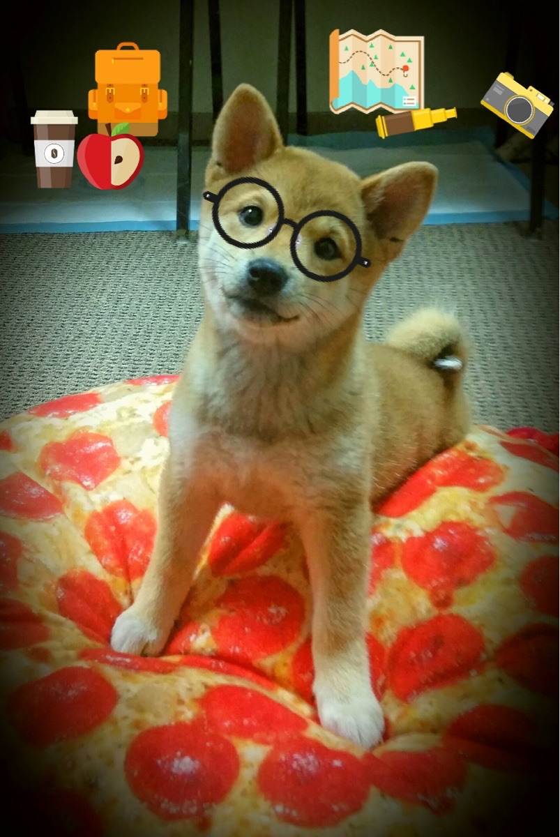 女子篮球国家队加强传切配合提升攻击多样性，女子篮球队训练方法