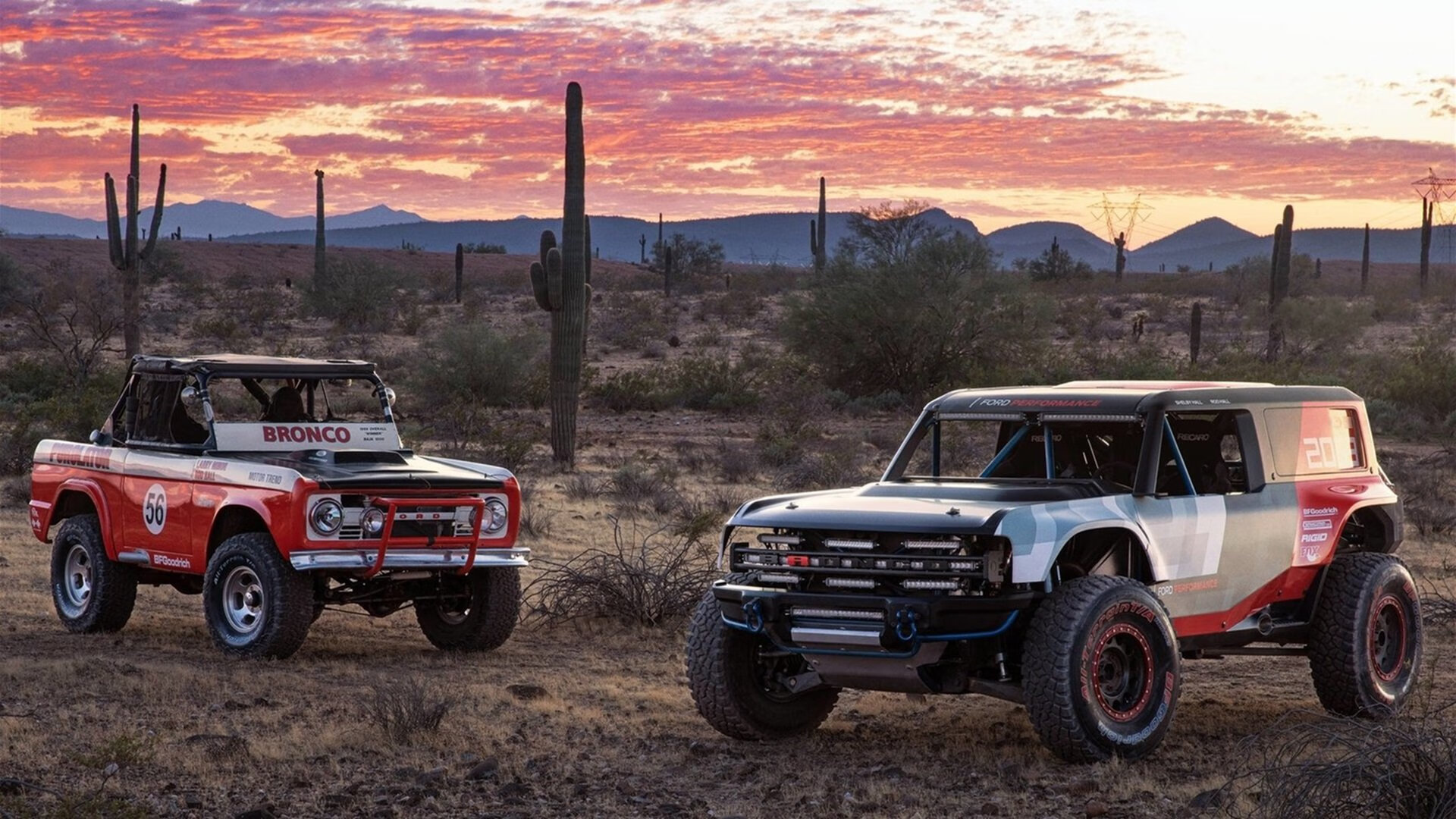 掘金赛季前发布球队誓言激励全队奋斗目标,掘金球队名单