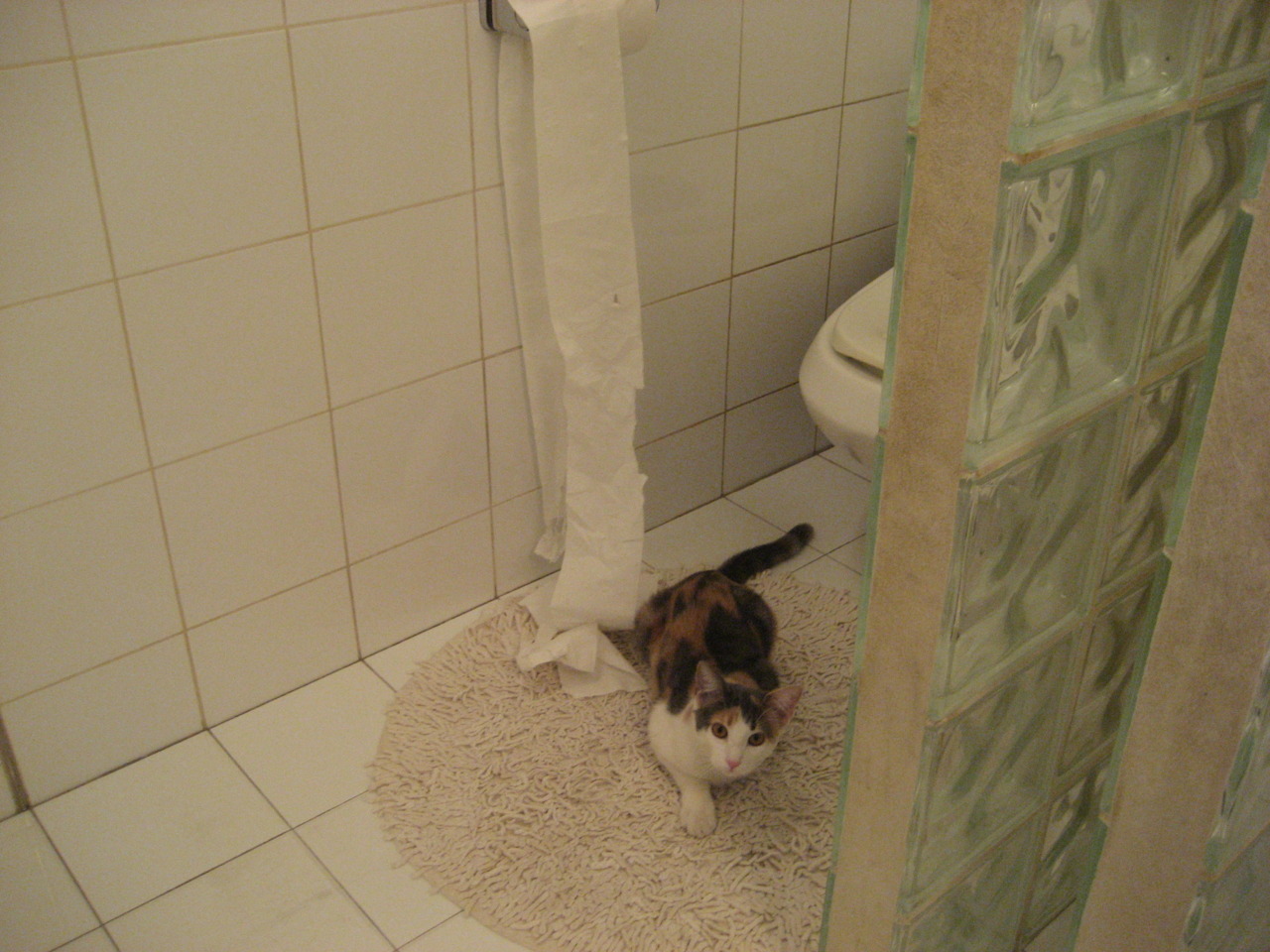 法甲惊天逆转:逆境中重生,成就奇迹,法甲介绍