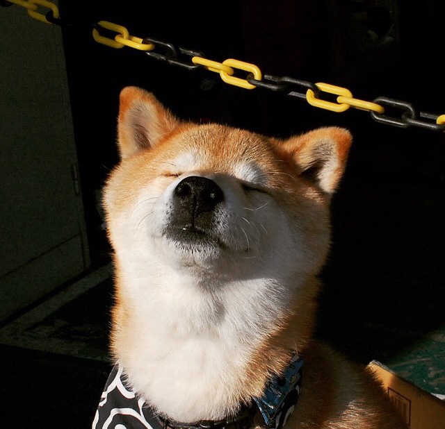 开云入口-电子竞技全球赛事回放，电子竞技赛事看点