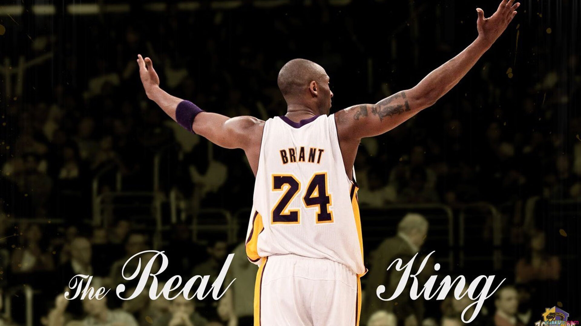 开云·体育全站登录地址-盘点本周所有比赛：激情无限，精彩不断！，适合比赛的激情歌曲